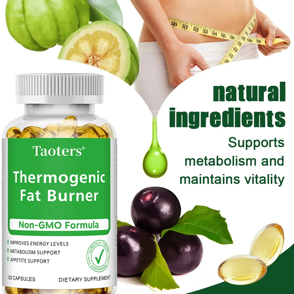 Green Tea Extract Fat - Green Tea Extract - with Apple