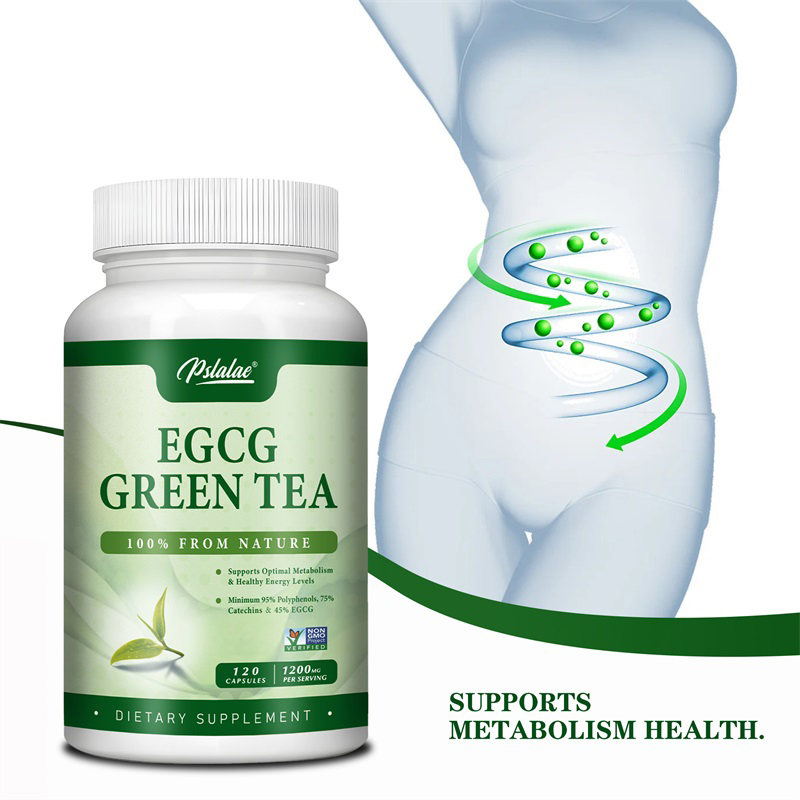 Green Tea Extract Fat - EGCG Green Tea Extract - Boosts