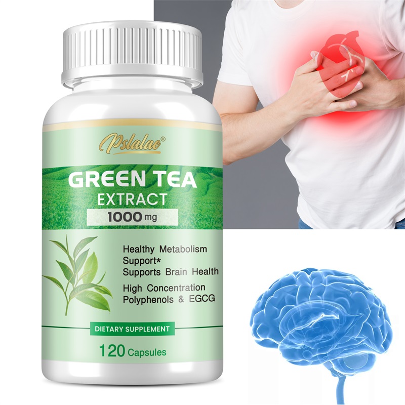 Green Tea Extract Fat - Green Tea Extract - with 98%
