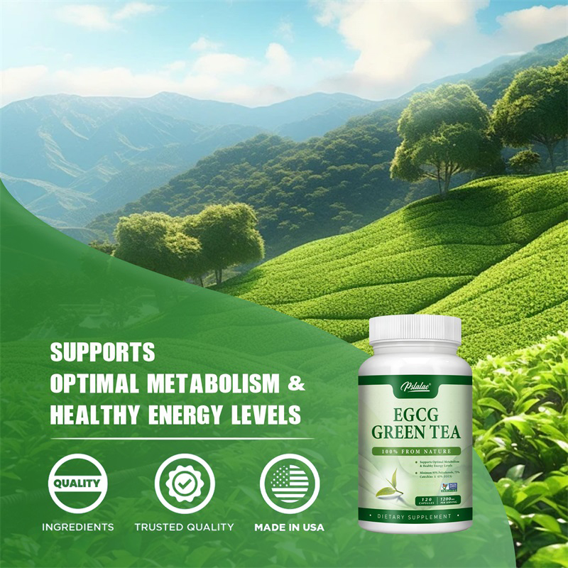 EGCG Green Tea Extract - Boost - Green Tea Extract Fat 评论和价格