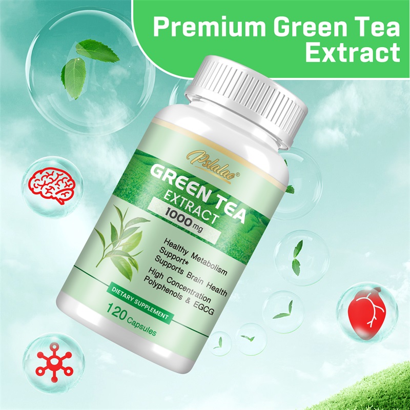 Green Tea Extract - with 98% P - Green Tea Extract Fat 评论和价格
