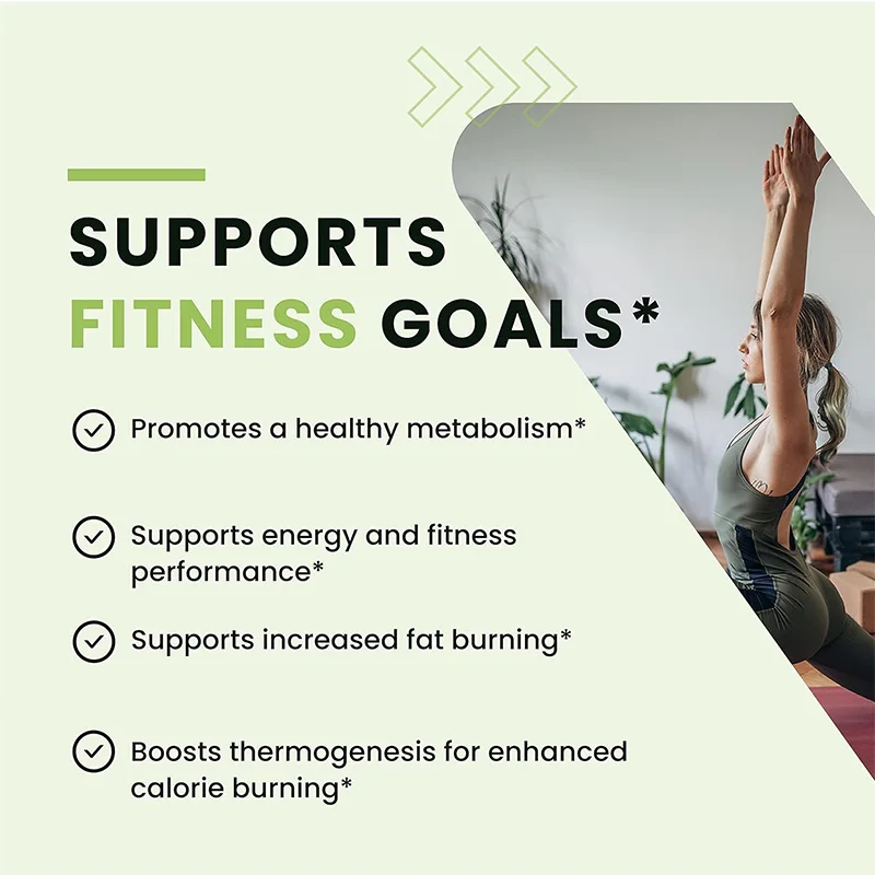 Green Tea Fat Burner - Support - Green Tea Extract Fat 评论和价格