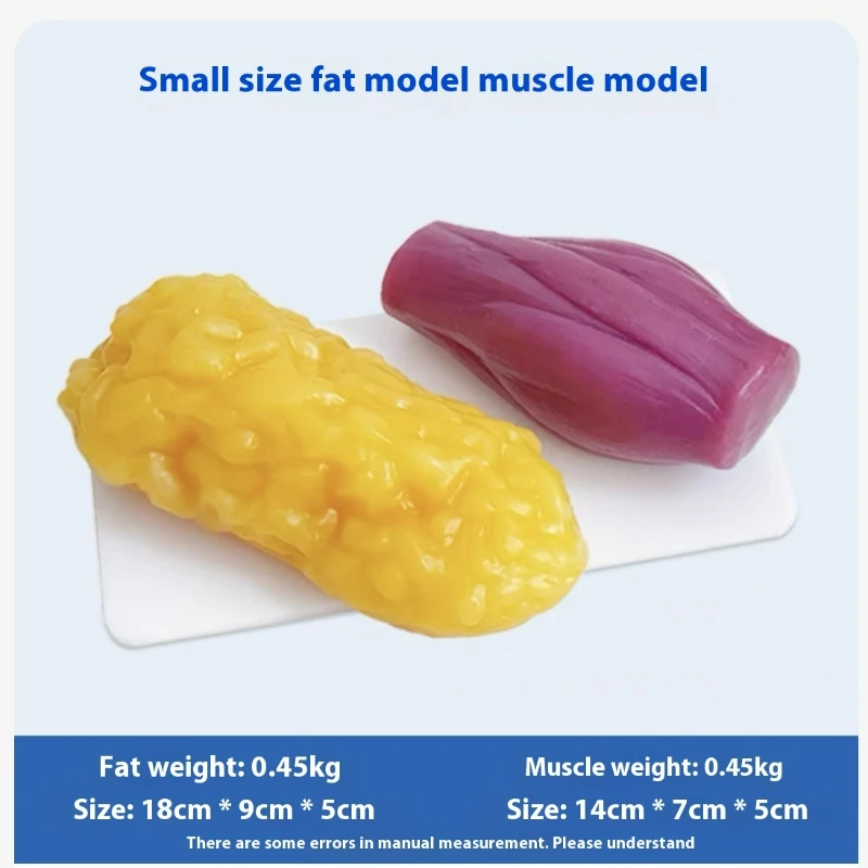 Human Muscle and Fat Replicas  - Nutrition Of Fitness 评论和价格