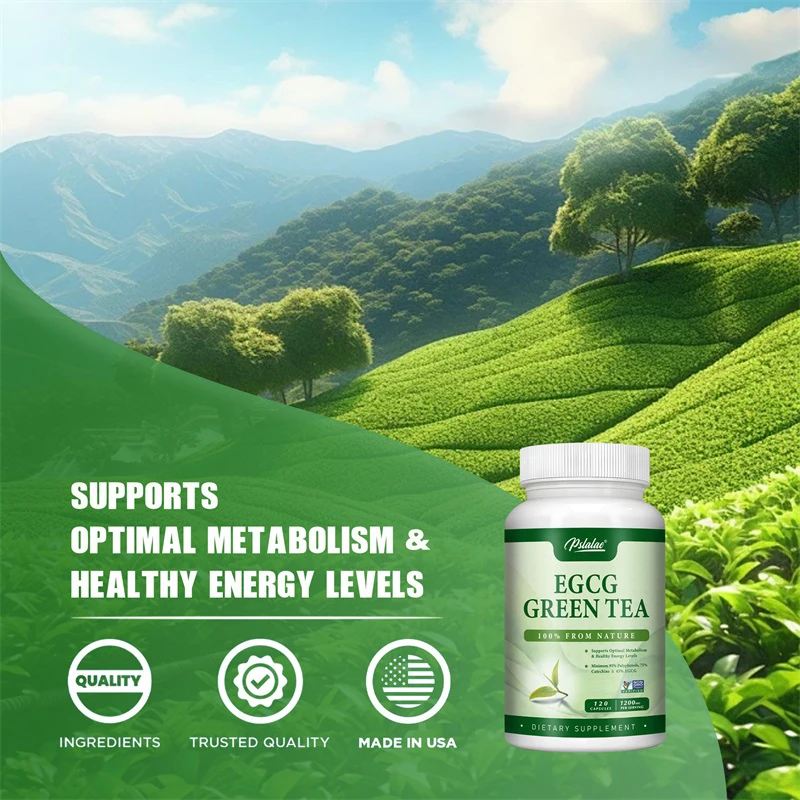 EGCG Green Tea Extract - Boost - Green Tea Extract Fat 评论和价格
